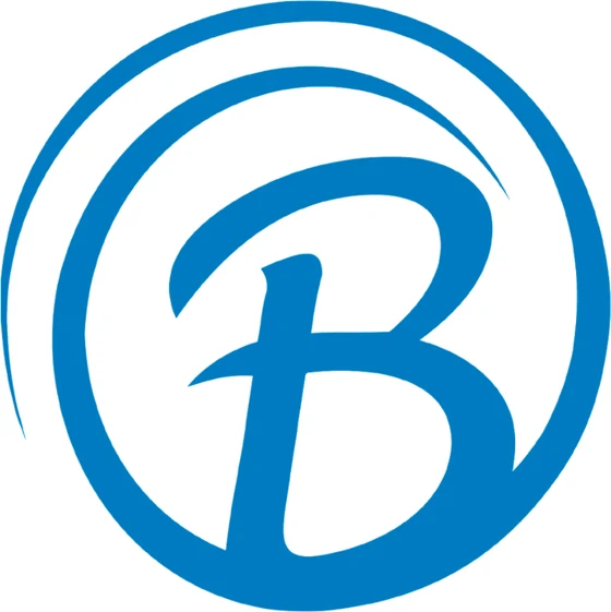 BG Soluções de Tecnologia da Informação